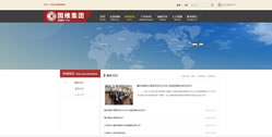 重慶國維科技發展(集團)有限公司