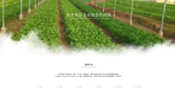 重慶雪鼎農業有限公司
