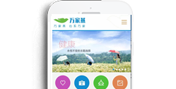 重慶市萬(wàn)家燕投資有限公司【手機(jī)網(wǎng)】