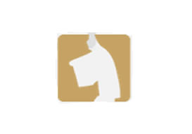 重慶派臣科技官網上線