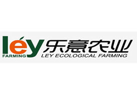 派臣簽約“潤策（中國）投資控股集團”建官網