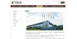 重慶宇通系統軟件有限公司