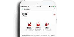 重慶雅叔食品有限公司【手機網】