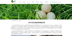 天水九龍山禽業養殖有限公司